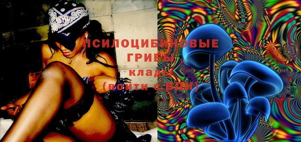 соль курить ск Алзамай