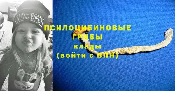 дмт Алексеевка