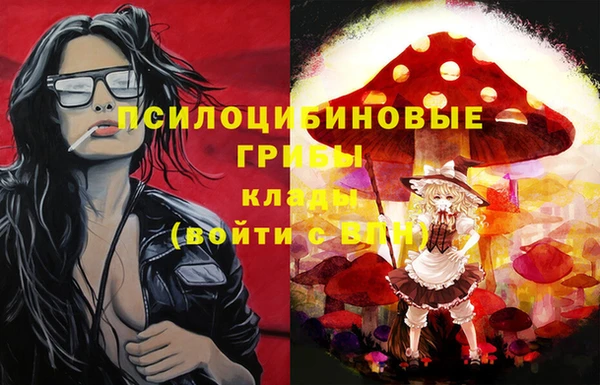 дмт Алексеевка