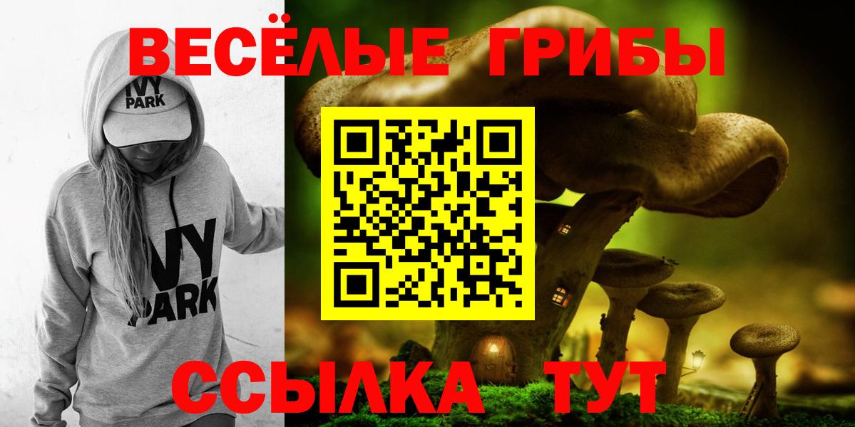 Апрелевка  наркота  Вход с VPN  Псилоцибиновые грибы мухоморы 